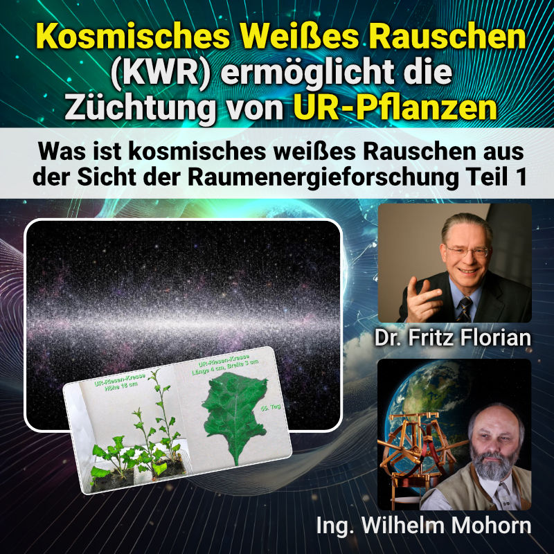 Weisses Rauschen Urpflanzen Artikel von Ing Wilhelm Mohorn und Dr. Fritz Florian